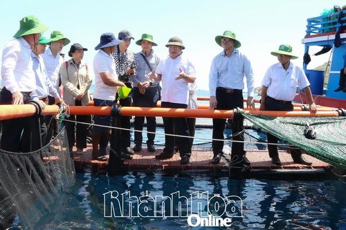 Phó Chủ tịch UBND tỉnh Trịnh Minh Hoàng kiểm tra thực tế các vùng nuôi trồng thủy sản công nghệ cao tại Hòn Nội và Đầm Bấy