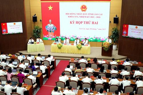 Giao tạm thời 1.561 chỉ tiêu hợp đồng lao động theo Nghị định số 111 của Chính phủ
