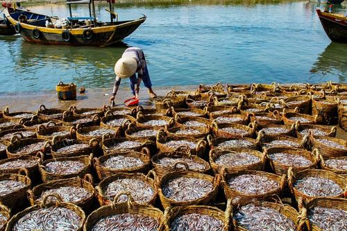 'Hương vị' biển mùa gió Tây Nam