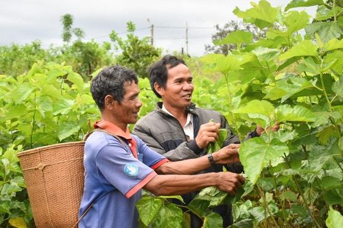 Đoàn kết, đồng lòng hướng đến một giai đoạn phát triển mới