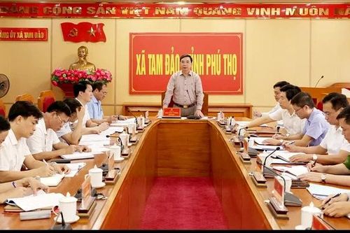 Phó Bí thư Tỉnh ủy Bùi Huy Vĩnh làm việc tại xã Tam Đảo