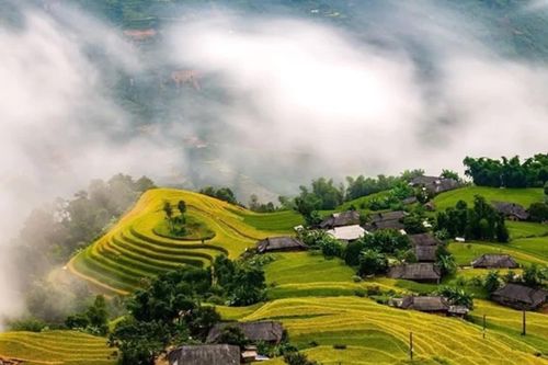 Thời tiết Tuyên Quang ngày 14-7: Ngày nắng gián đoạn, có mưa vài nơi, nhiệt độ trung bình 25- 34°C