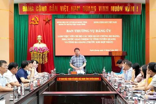 Đảng ủy MTTQ Việt Nam tỉnh làm việc với Chi bộ các hội quần chúng trước khi hợp nhất