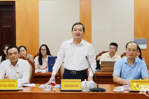 Sớm cụ thể hóa dự án dùng Matcha từ trà Thái Nguyên để sản xuất thực phẩm, đồ uống