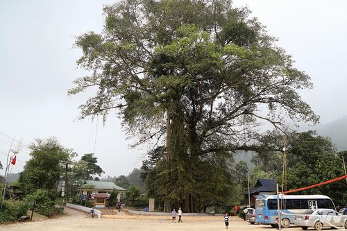 Khi tiềm năng được đánh thức