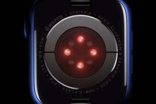 Apple phát triển mô hình AI theo dõi sức khỏe người dùng với độ chính xác cao
