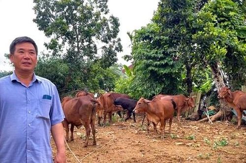 'Vực dậy từ vùng trũng', HTX Phú Mãn đồng hành cùng địa phương xây dựng NTM