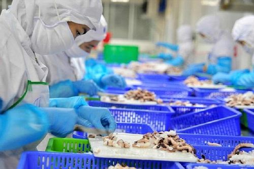 VASEP kiến nghị hàng loạt vướng mắc pháp lý gây khó cho doanh nghiệp thủy sản
