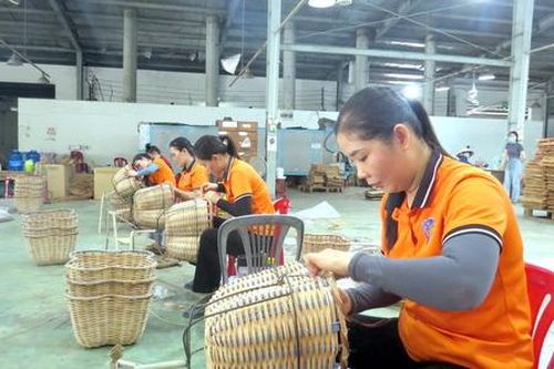 HTX nâng tầm sản phẩm bản địa, tạo sinh kế bền vững cho người dân