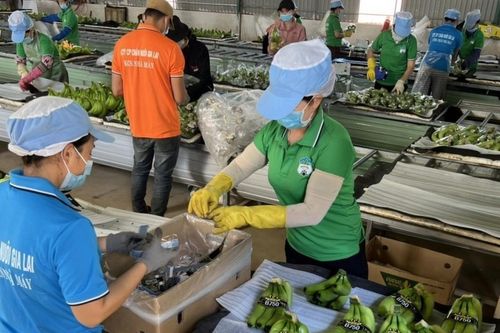 Những doanh nghiệp đầu tiên hé lộ lợi nhuận 6 tháng đầu năm 2025