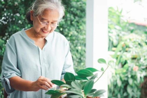 Người già có mùi đặc trưng nhưng không phải ai cũng biết rõ nguyên nhân