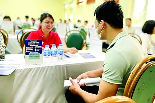 Thách thức tìm việc với lao động trung niên