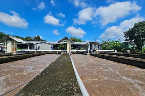 Cao su Phước Hòa với hành trình 'xanh hóa' chuỗi giá trị