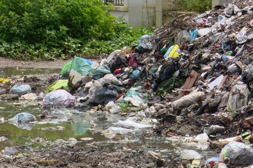 Báo động tình trạng đổ trộm rác khu dân cư, trường học