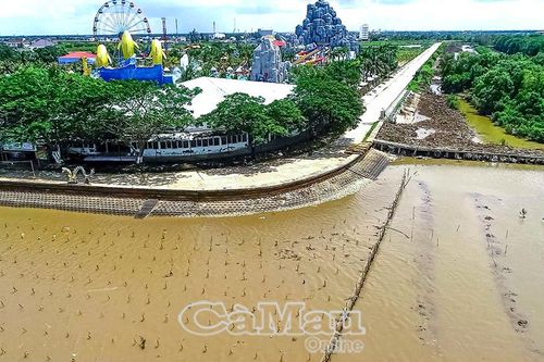 Tái sinh rừng phòng hộ
