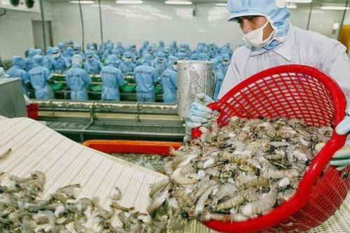 Gỡ khó cho nuôi biển công nghệ cao, hướng đến mục tiêu tỷ đô