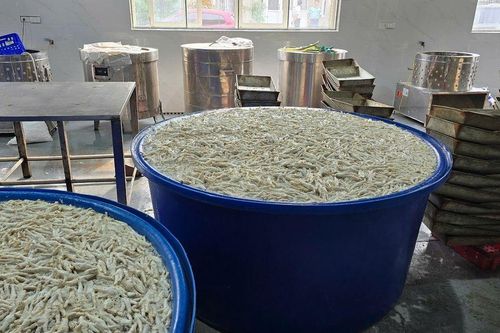 Phát hiện gần 7 tấn chân gà ngâm hóa chất tẩy trắng chuẩn bị đưa đi tiêu thụ