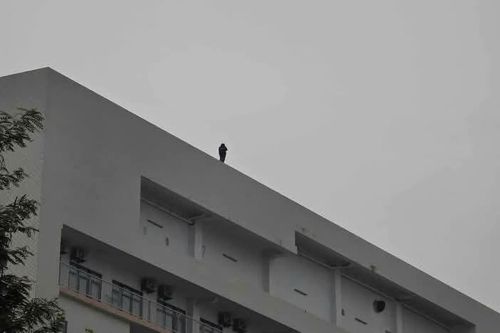 Kịp thời giải cứu cháu gái có ý định tiêu cực ở Bệnh viện Bạch Mai