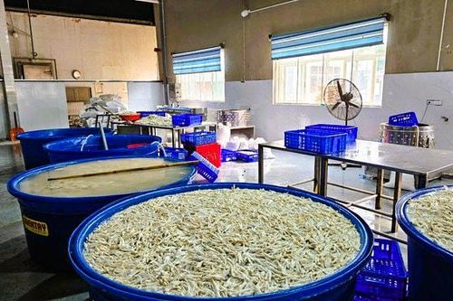 Phát hiện hơn 13 tấn chân gà ngâm chất cấm