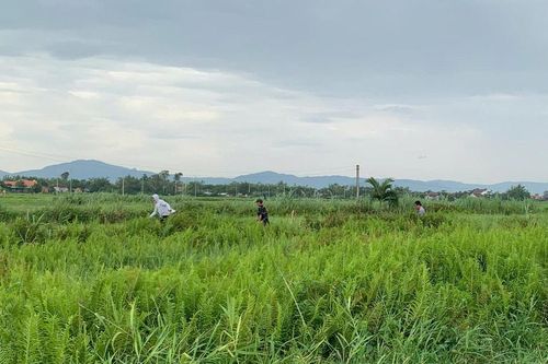 Gia Lai: Sẵn sàng cho tuyến đường sắt tốc độ cao Bắc – Nam
