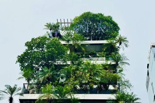 'Xanh hóa' công trình, xu hướng bất động sản bền vững, hiệu quả