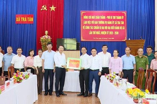 Đà Nẵng: Kiểm tra công tác chuẩn bị Đại hội Đảng bộ xã Trà Tân