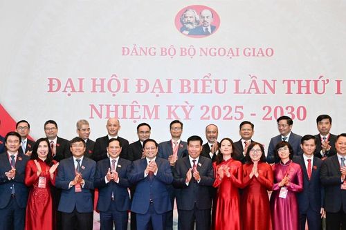 Chủ động, tích cực, thực hiện hiệu quả, thành công đường lối đối ngoại của Đảng, Nhà nước