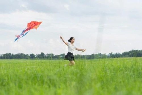 Check-in thảo nguyên Trị An đẹp như tranh mùa nước cạn