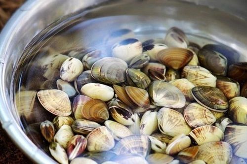 Mẹo ngâm ngao sạch bùn cát cực nhanh, không cần nước muối