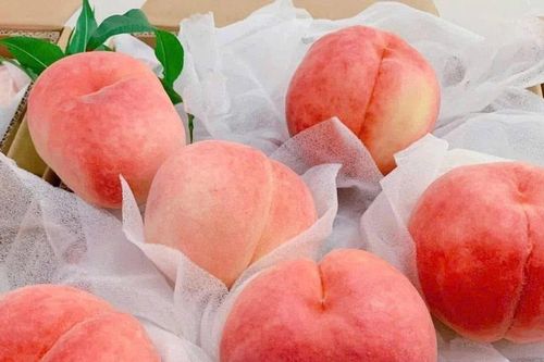 Đào tiên Trung Quốc 40.000 đồng/quả bán tràn lan chợ mạng