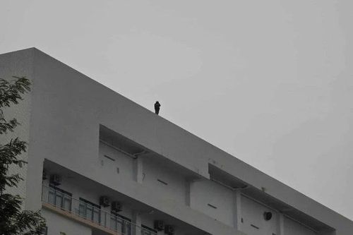 Giải cứu thiếu nữ có ý định tự tử tại Bệnh viện Bạch Mai