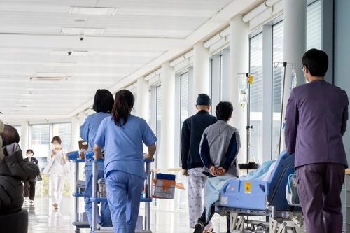 Hàn Quốc: Sinh viên y trở lại học tập