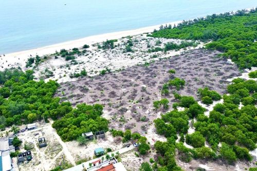 Vụ chặt phá rừng phòng hộ ven biển, TP Huế báo cáo gì với Thủ tướng?