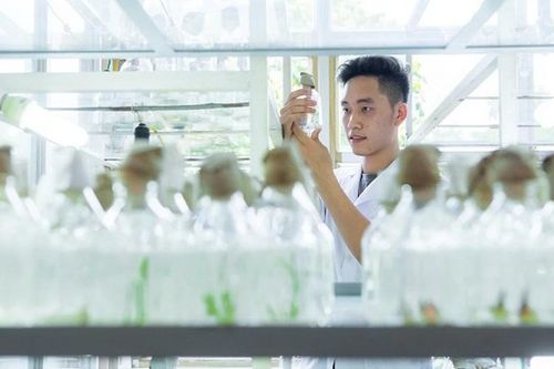 Bổ sung nội dung bảo vệ môi trường vào chương trình đào tạo đại học chính quy
