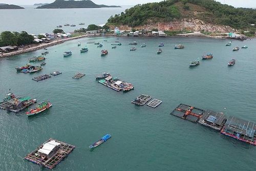 An Giang: Nuôi biển trở thành trụ cột kinh tế xanh