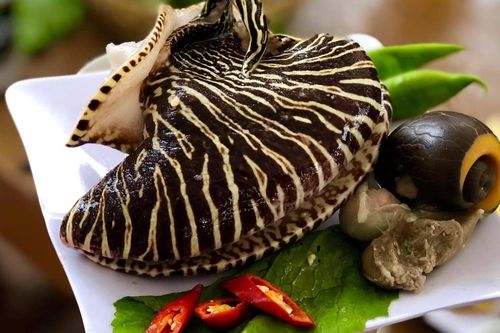 Đặc sản 'trời ban' ở biển Việt, thịt ngọt, giòn, một con đủ cho 4-5 người ăn