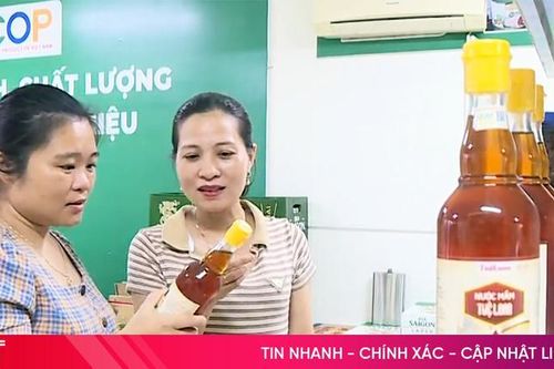 Làng nghề nước mắm, điểm đến thu hút du khách