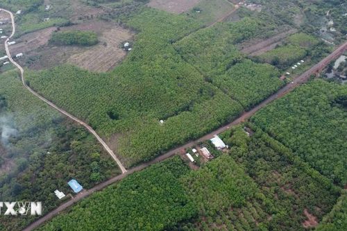 Khai thác tuyến vận tải hành khách cố định từ Bình Phước đi tỉnh Đồng Nai