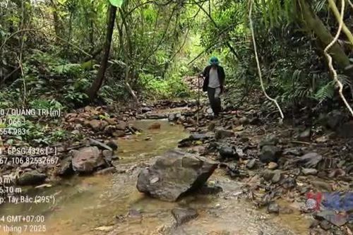 Đột nhập lán trại 'vàng tặc' trong rừng phòng hộ ở Quảng Trị