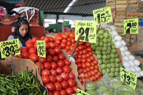 Thuế quan của Mỹ: Cà chua Mexico bị áp thuế hơn 17%