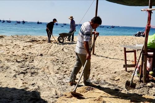 Gia Lai khẩn trương xử lý sự cố ô nhiễm môi trường biển