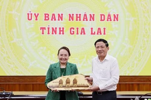 AgriS đề xuất xây viện nghiên cứu và nông trường kiểu mẫu tại Gia Lai