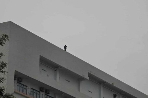 Thiếu nữ đứng trên tầng thượng Bệnh viện Bạch Mai
