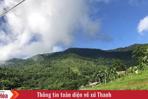 Xây dựng và phát triển thương hiệu vịt Cổ Lũng