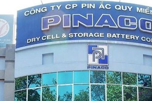 Công ty bán ắc quy độc quyền cho VinFast lãi nửa tỷ đồng mỗi ngày
