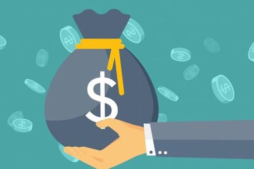 Xác minh dòng tiền của giám đốc chiếm đoạt tiền của hàng nghìn nhà đầu tư