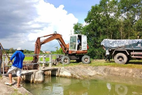 Gia Lai tăng cường công tác phòng chống dịch bệnh động vật