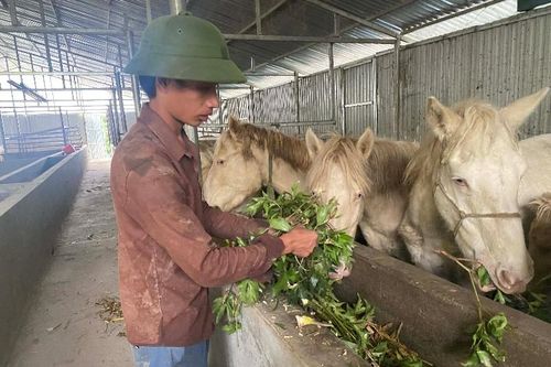 Hướng phát triển kinh tế mới