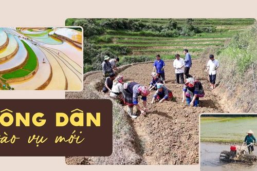 Nông dân vào vụ mới