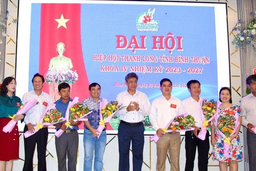 Hiệp hội Thanh long Bình Thuận: Kết nối để vươn xa
